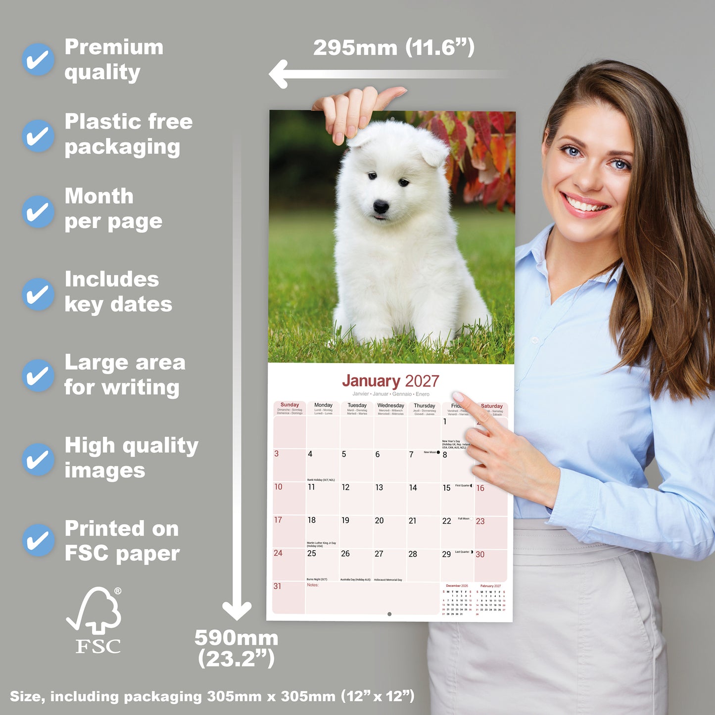 Samoyed Wall Calendar 2027