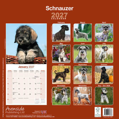 Schnauzer Wall Calendar 2027
