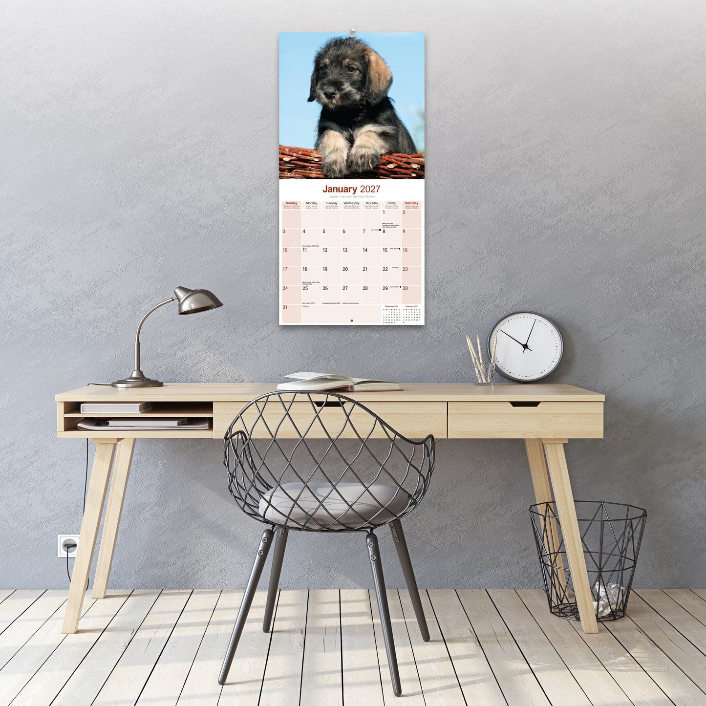 Schnauzer Wall Calendar 2027