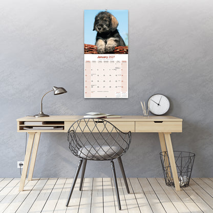 Schnauzer Wall Calendar 2027