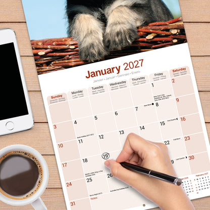 Schnauzer Wall Calendar 2027