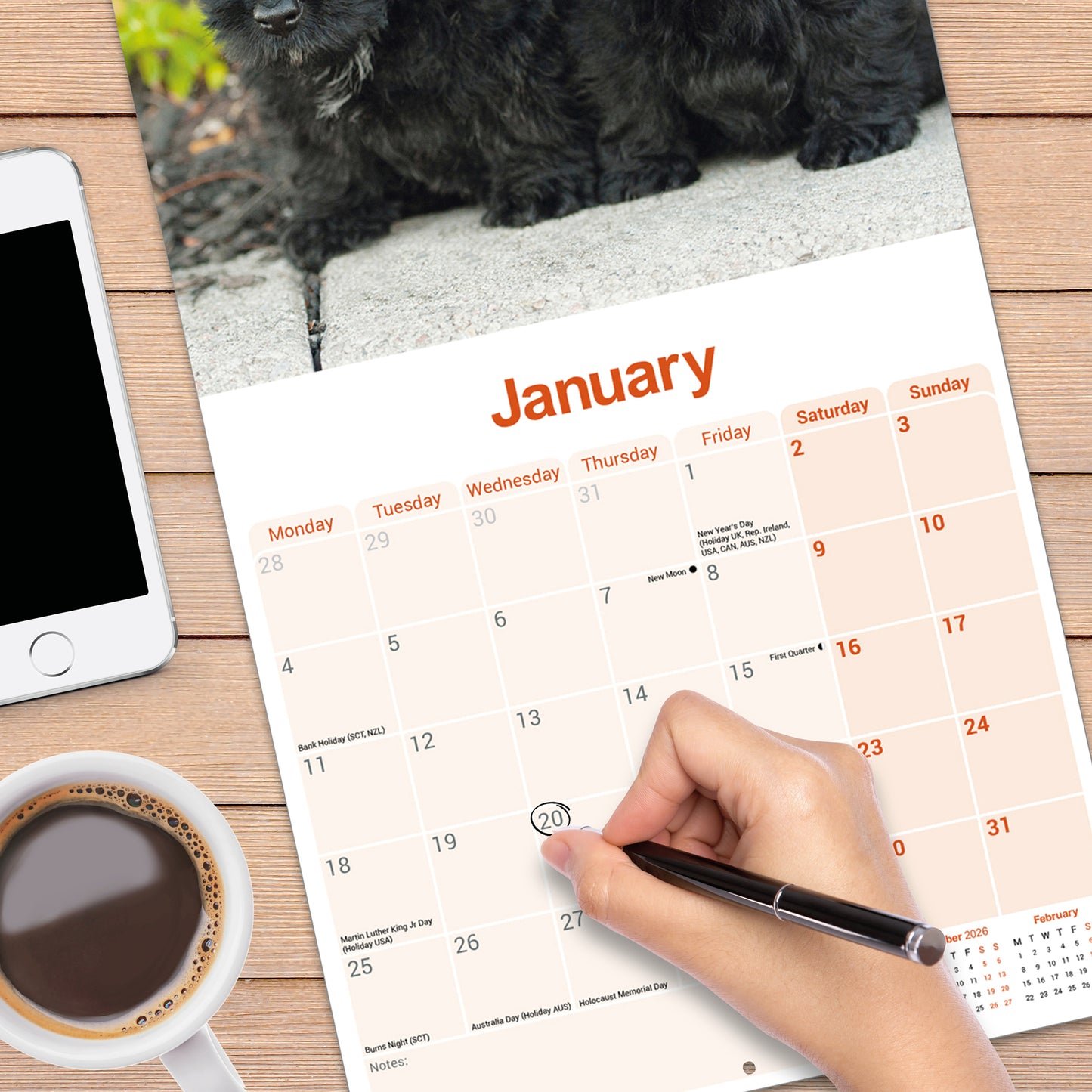 Scottish Terrier Wall Calendar 2027