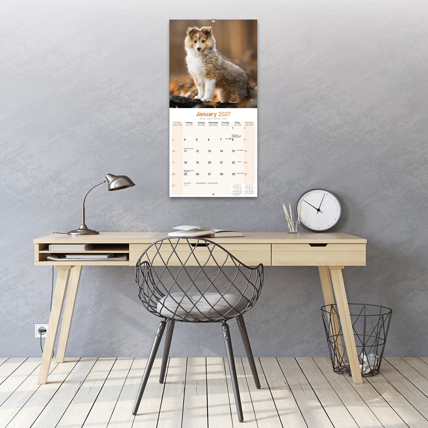 Shetland Sheepdog Wall Calendar 2027