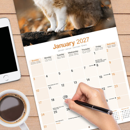 Shetland Sheepdog Wall Calendar 2027