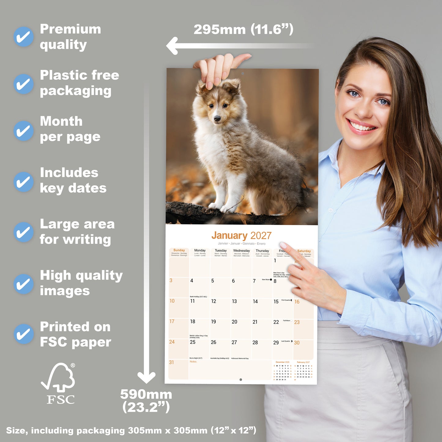 Shetland Sheepdog Wall Calendar 2027