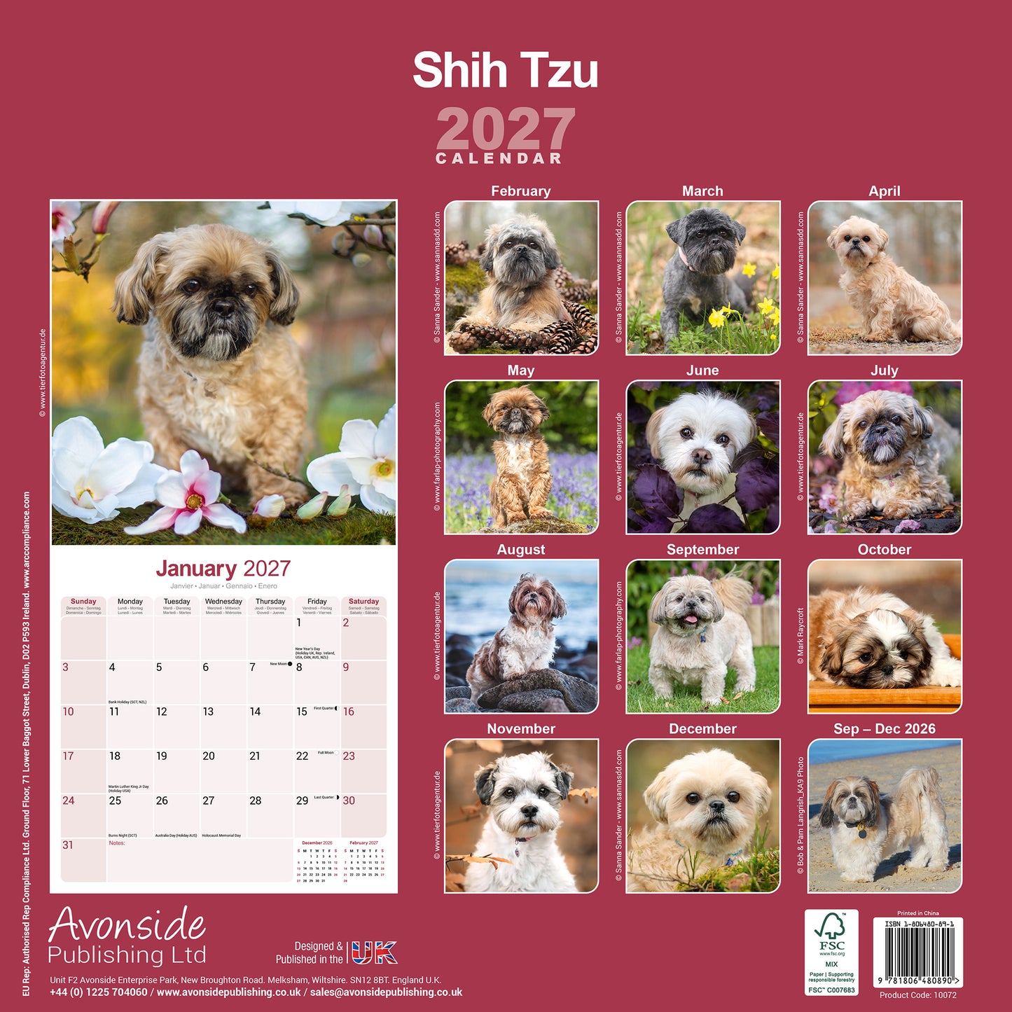 Shih Tzu Wall Calendar 2027