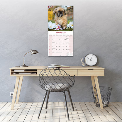 Shih Tzu Wall Calendar 2027