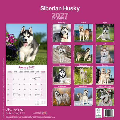 Siberian Husky Wall Calendar 2027