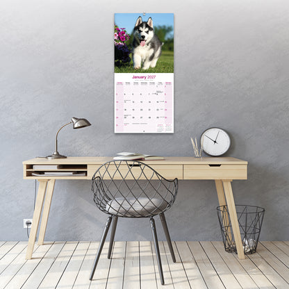 Siberian Husky Wall Calendar 2027
