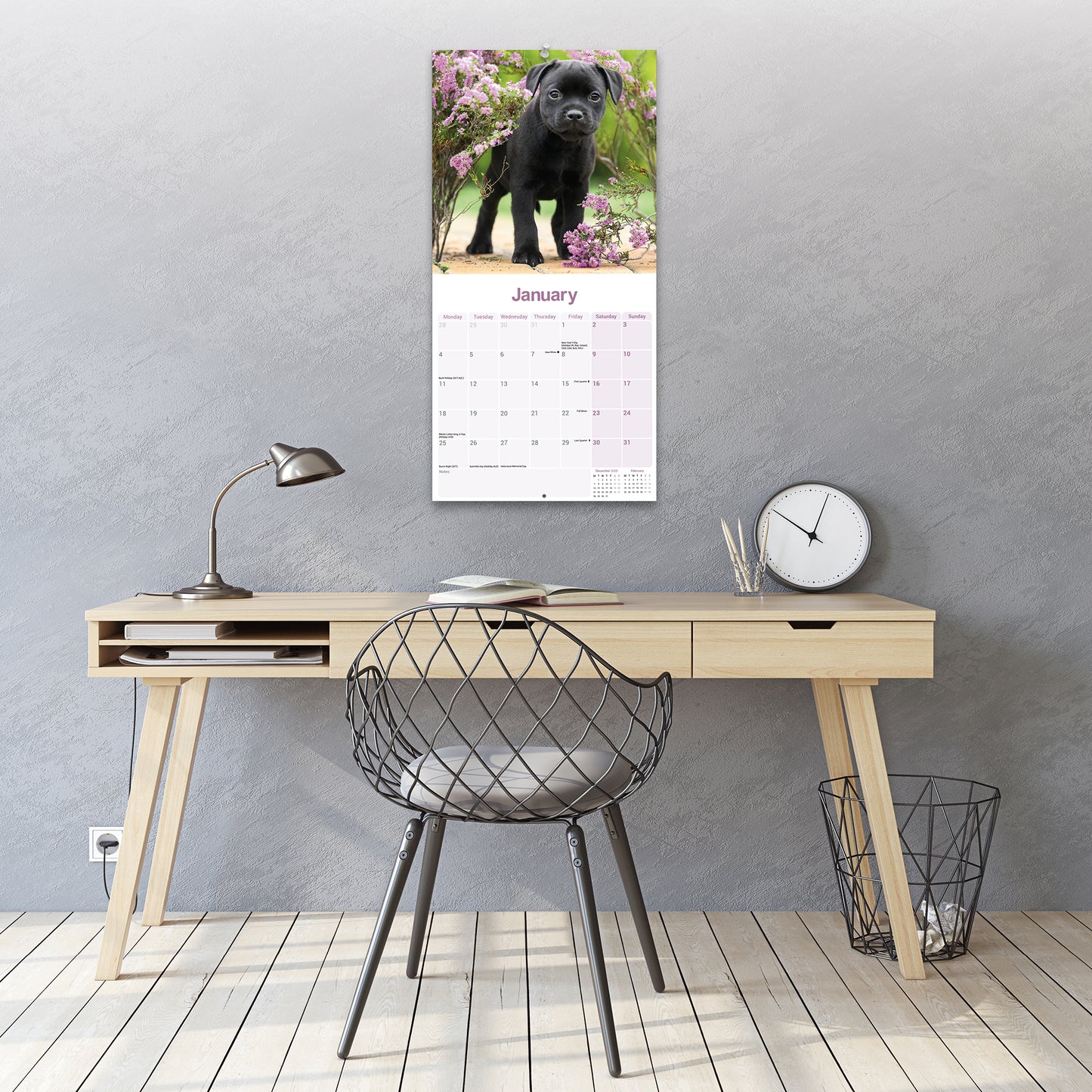 Staffordshire Bull Terrier Puppies Wall Calendar 2027