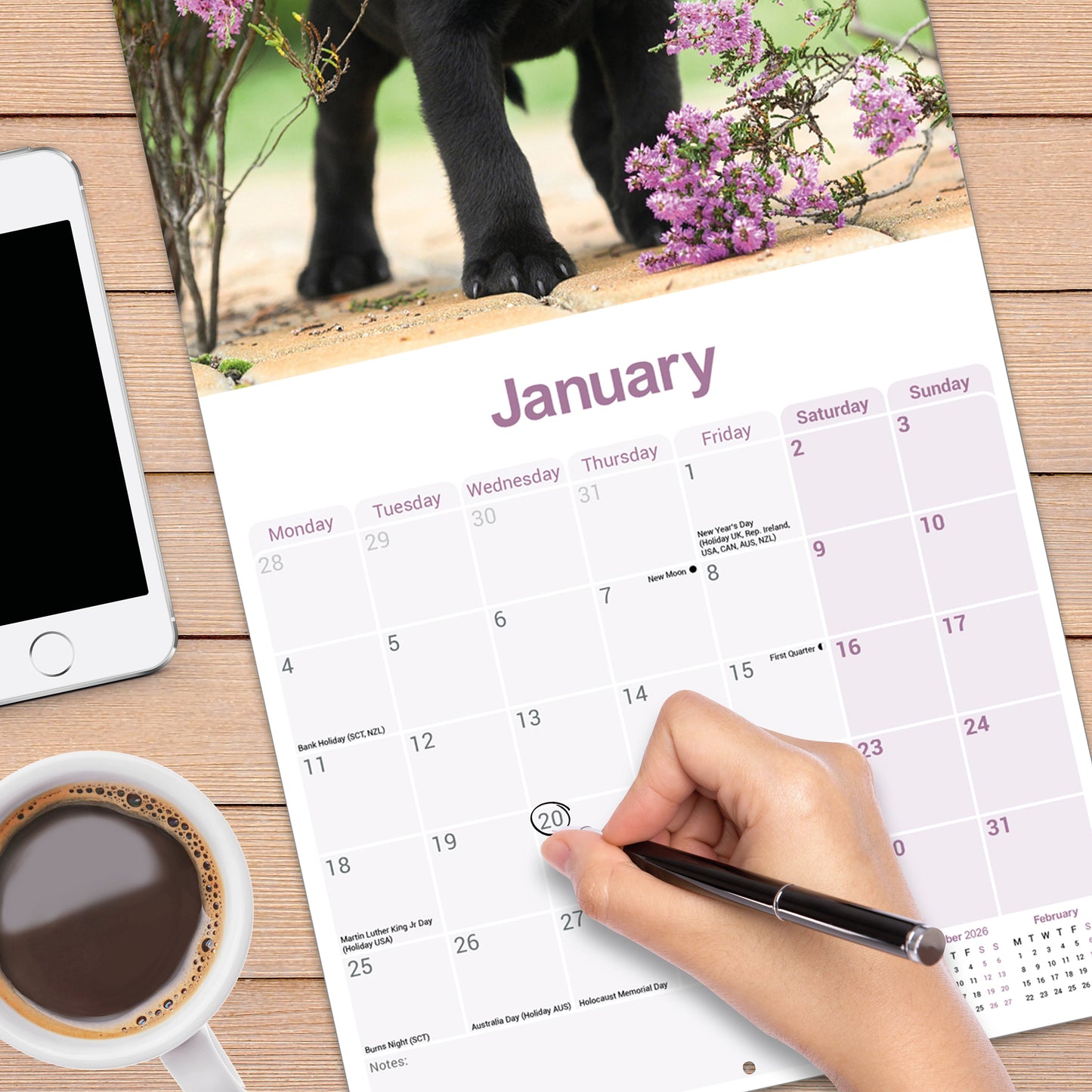 Staffordshire Bull Terrier Puppies Wall Calendar 2027