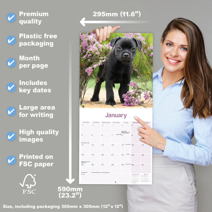 Staffordshire Bull Terrier Puppies Wall Calendar 2027