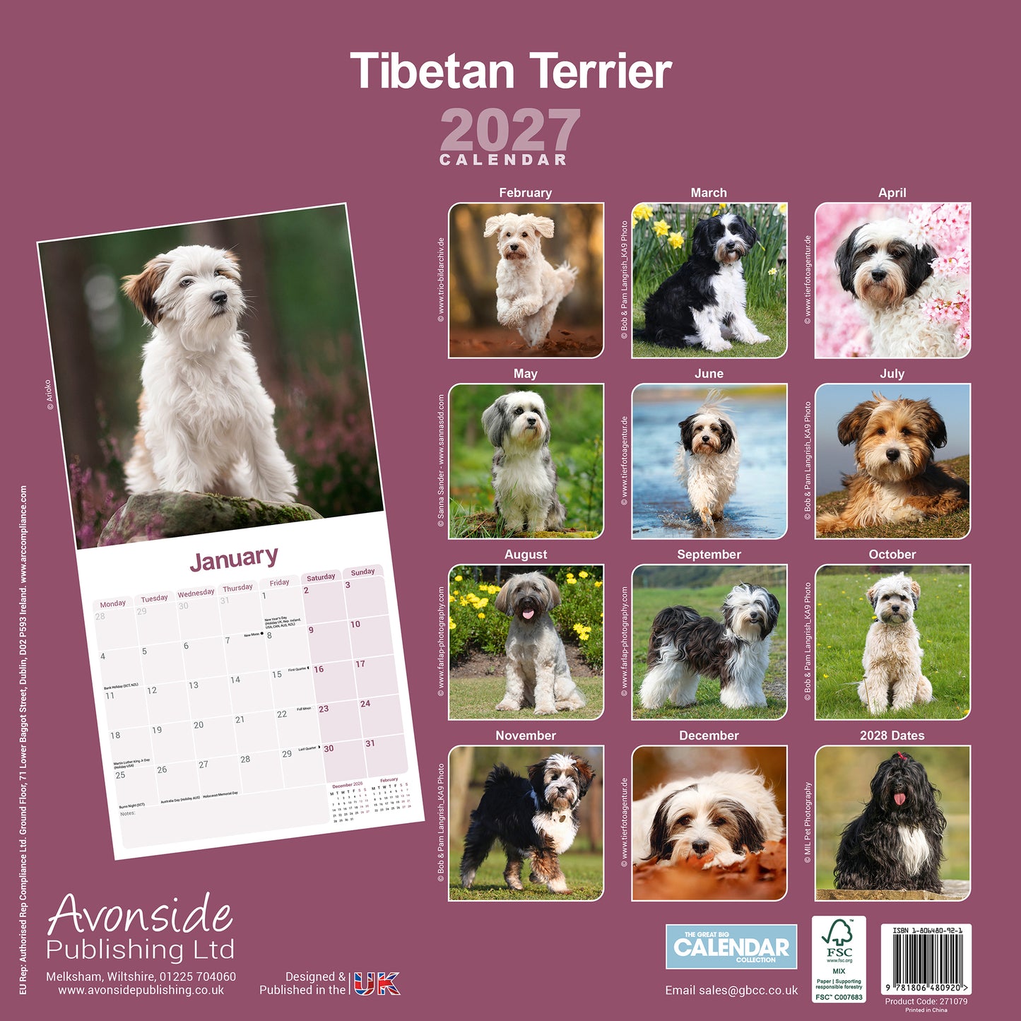 Tibetan Terrier Wall Calendar 2027