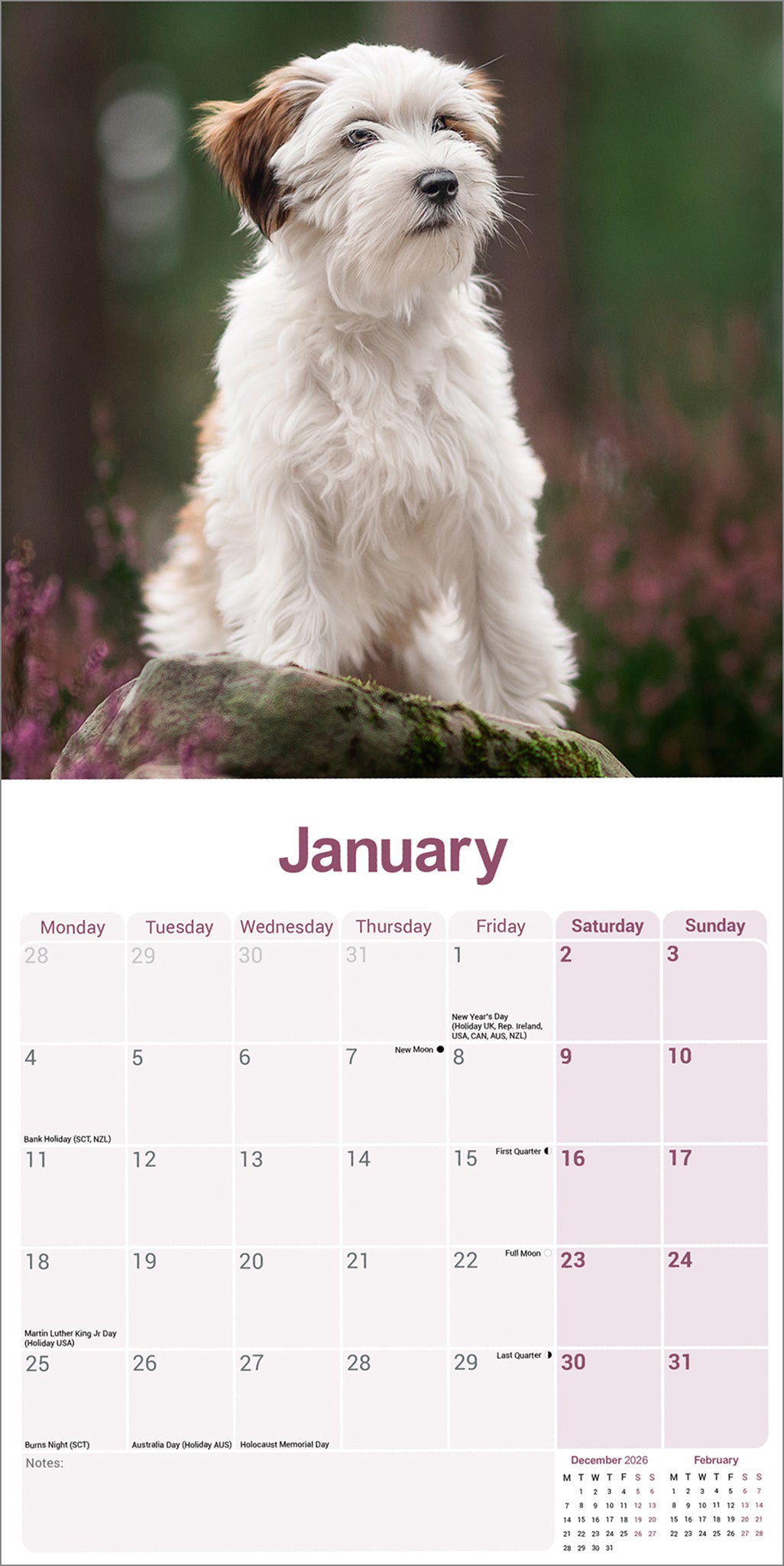 Tibetan Terrier Wall Calendar 2027