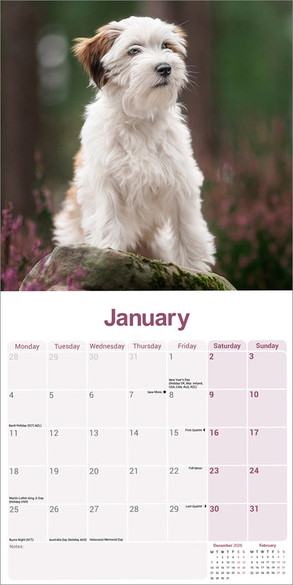 Tibetan Terrier Wall Calendar 2027