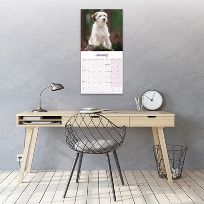Tibetan Terrier Wall Calendar 2027