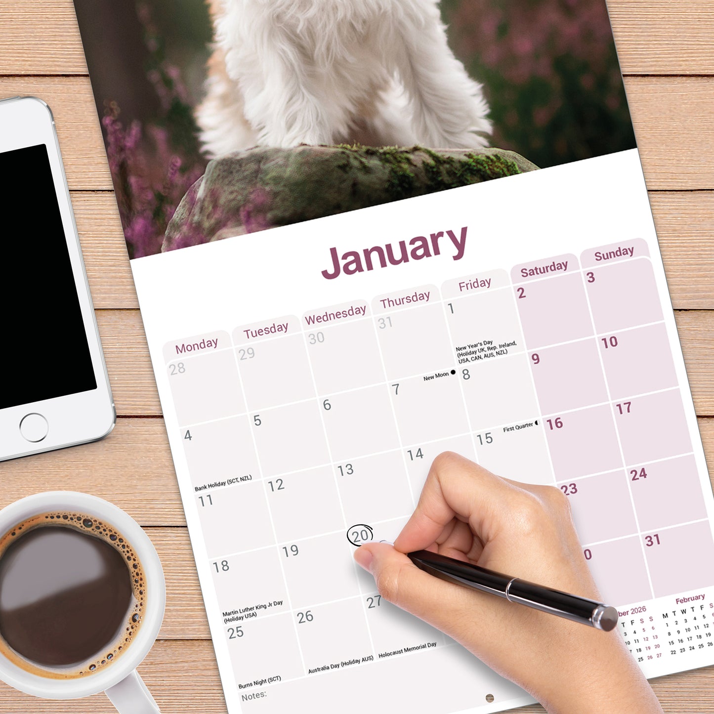 Tibetan Terrier Wall Calendar 2027