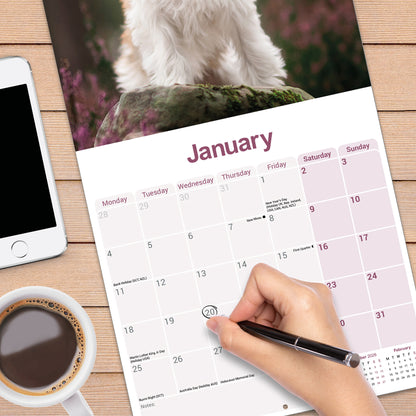 Tibetan Terrier Wall Calendar 2027