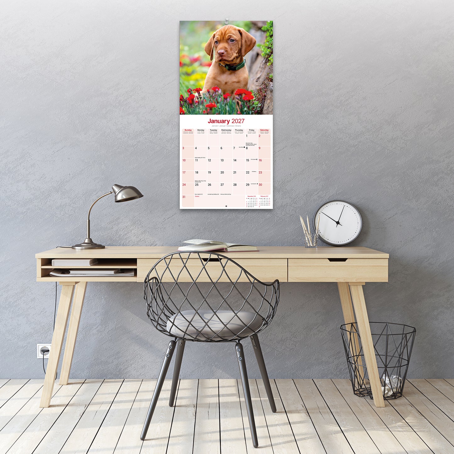 Vizsla Wall Calendar 2027