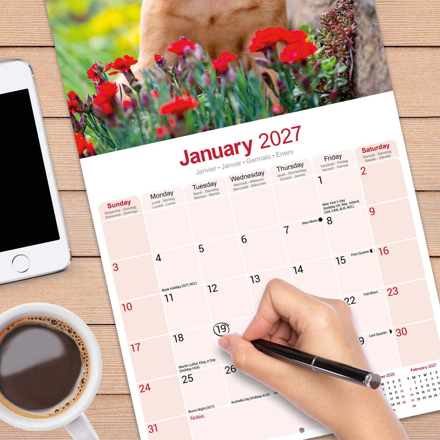 Vizsla Wall Calendar 2027