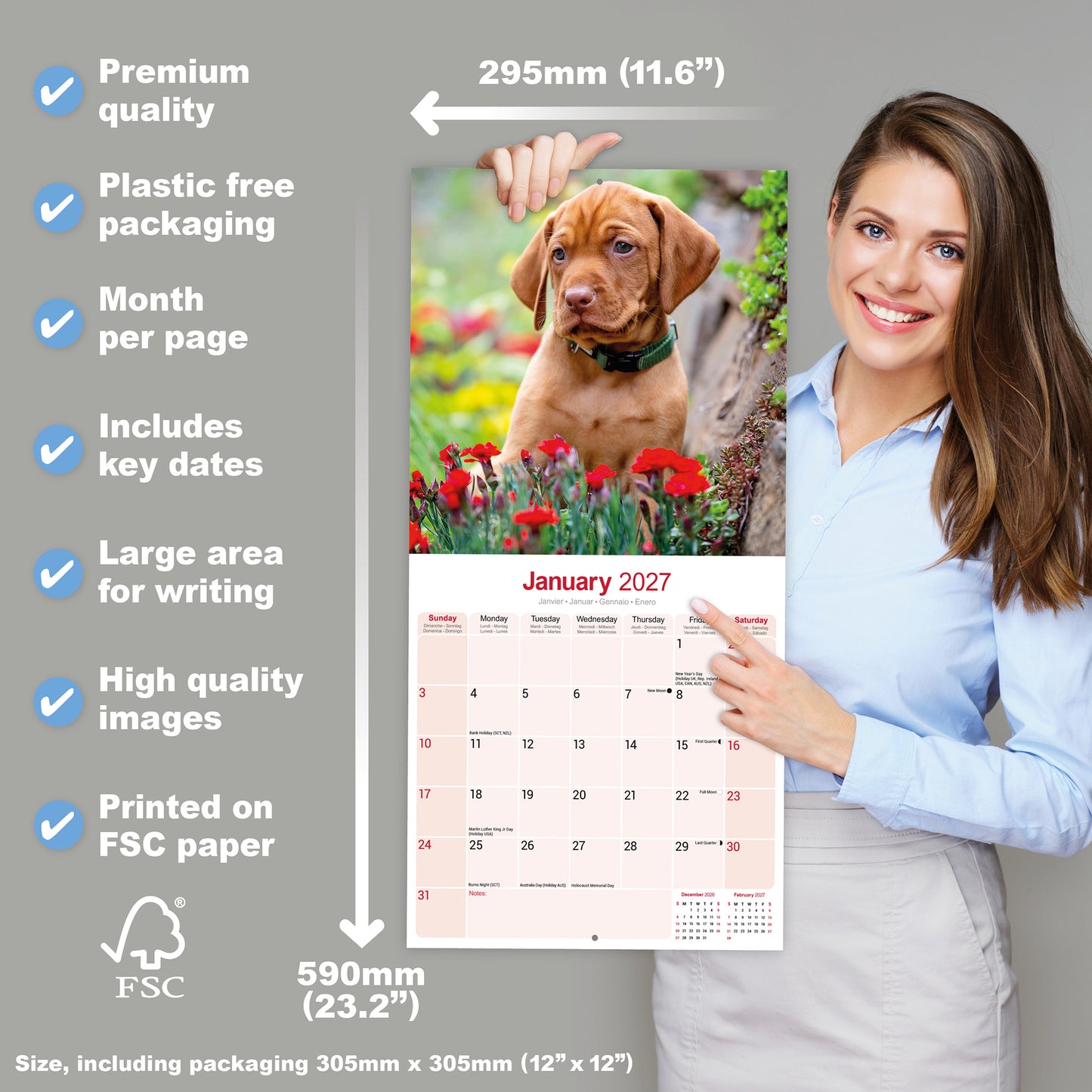 Vizsla Wall Calendar 2027