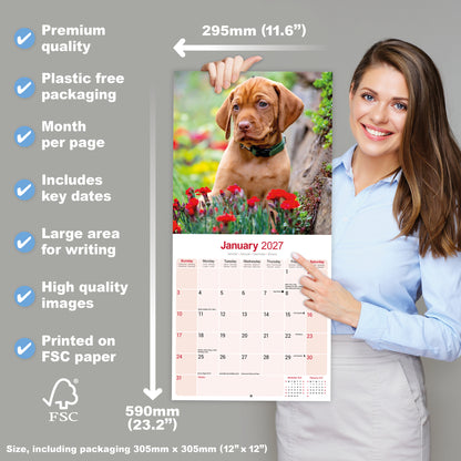 Vizsla Wall Calendar 2027