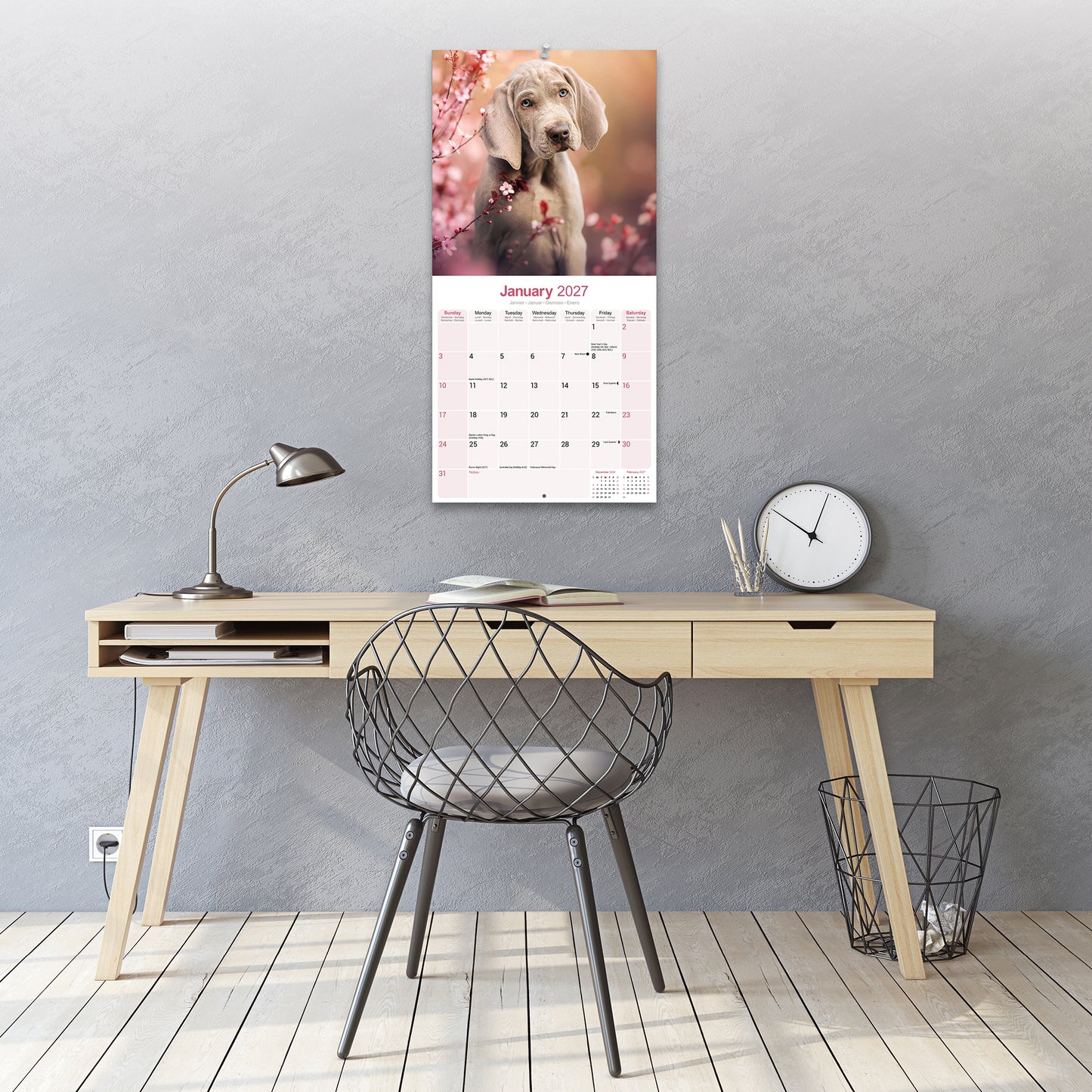 Weimaraner Wall Calendar 2027