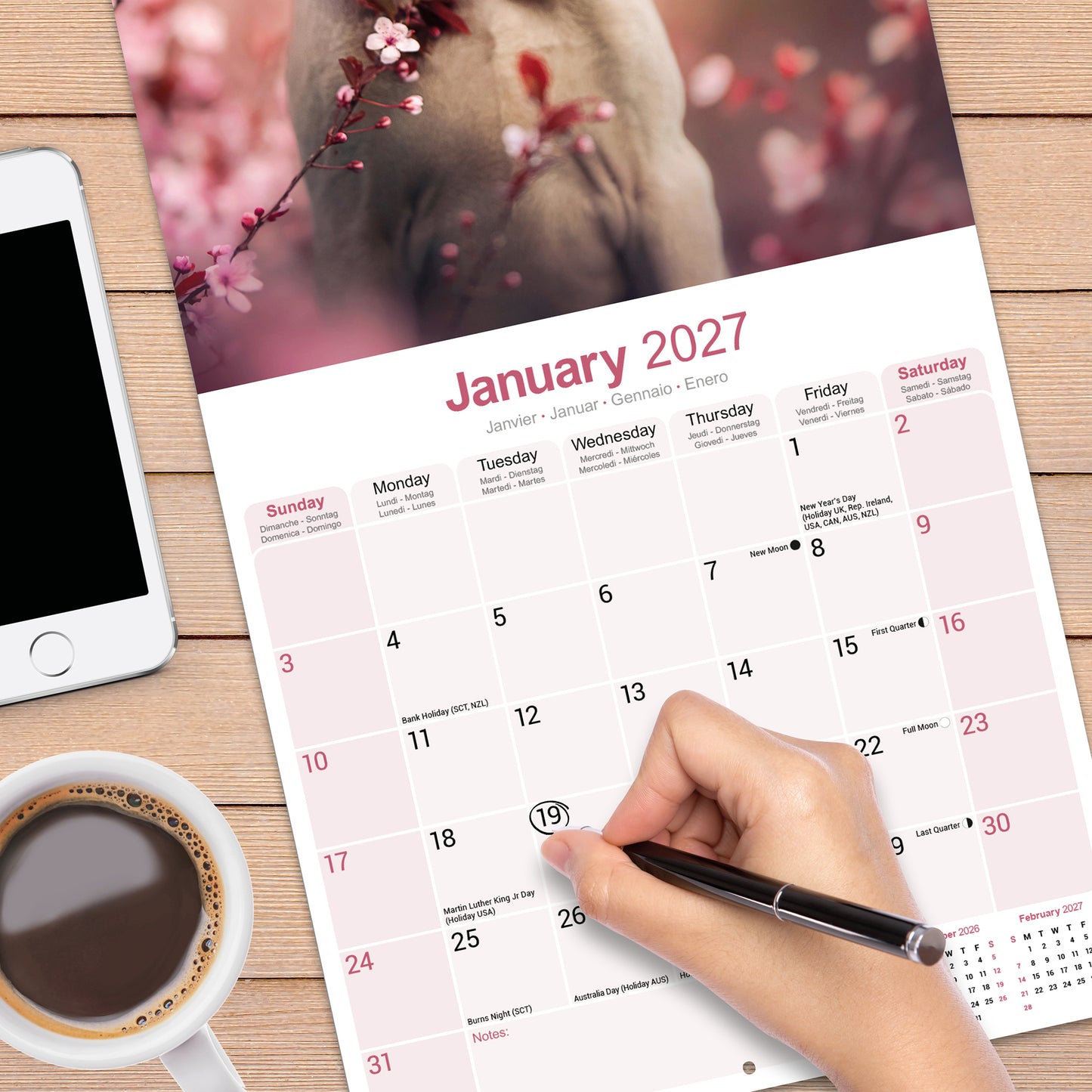 Weimaraner Wall Calendar 2027