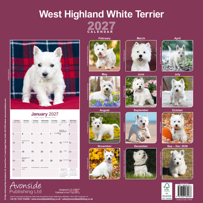 West Highland White Terrier Wall Calendar 2027