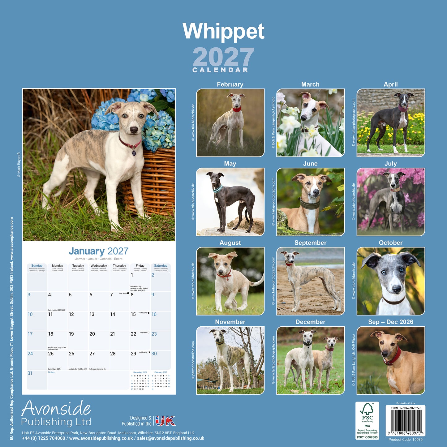Whippet Wall Calendar 2027