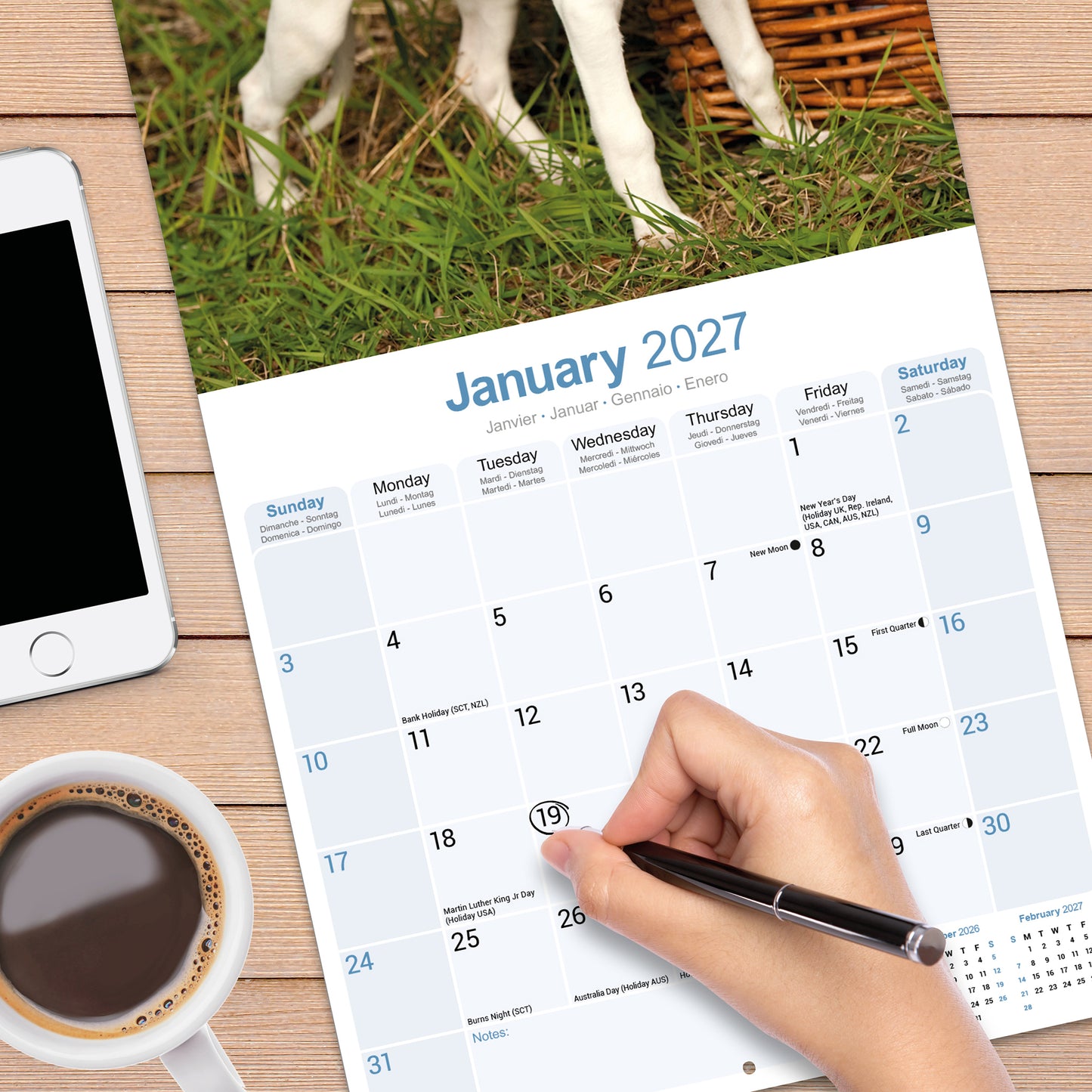 Whippet Wall Calendar 2027