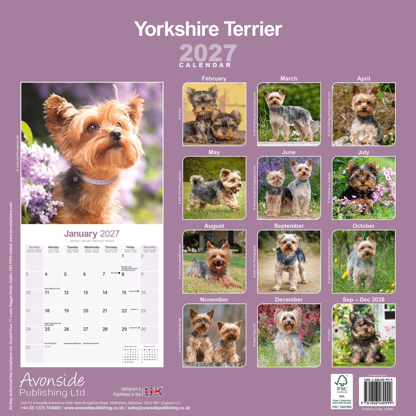 Yorkshire Terrier Wall Calendar 2027