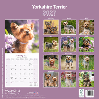 Yorkshire Terrier Wall Calendar 2027