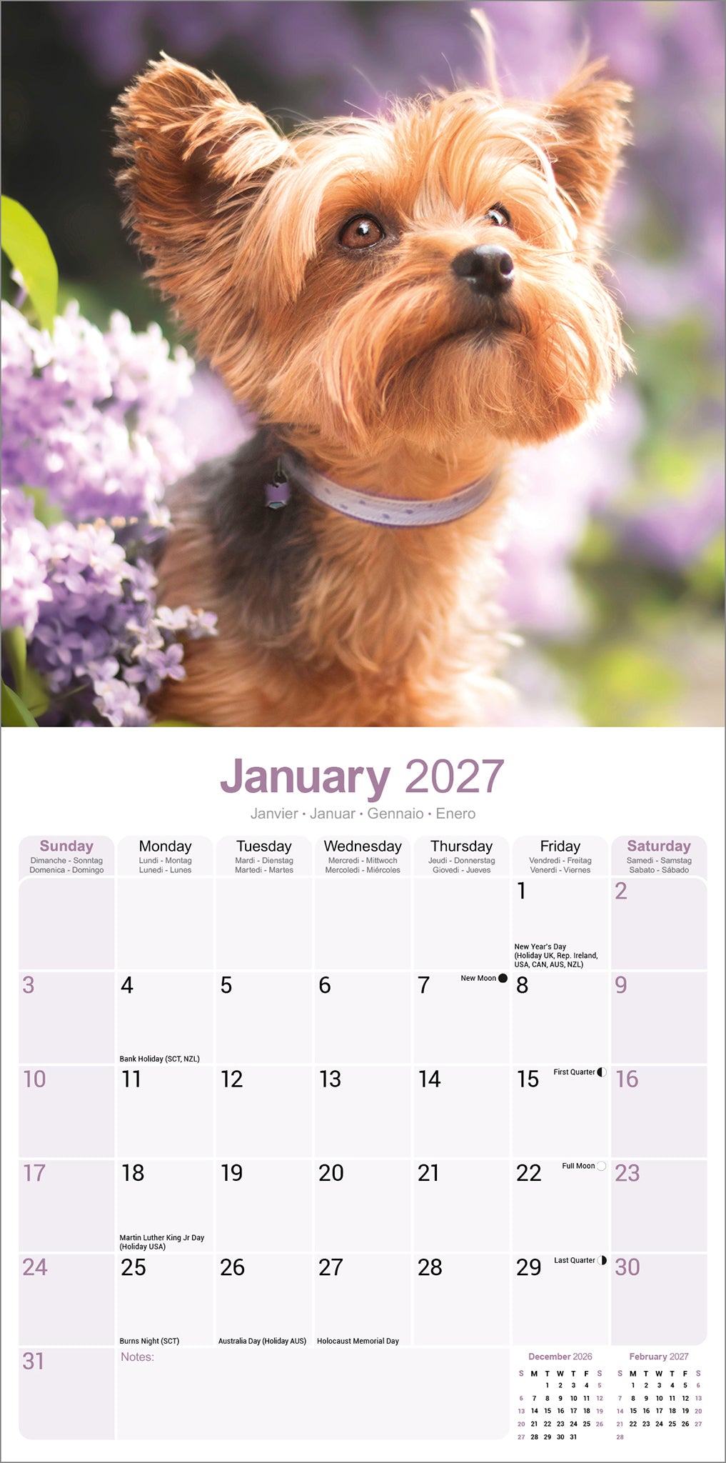 Yorkshire Terrier Wall Calendar 2027