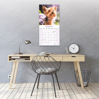 Yorkshire Terrier Wall Calendar 2027