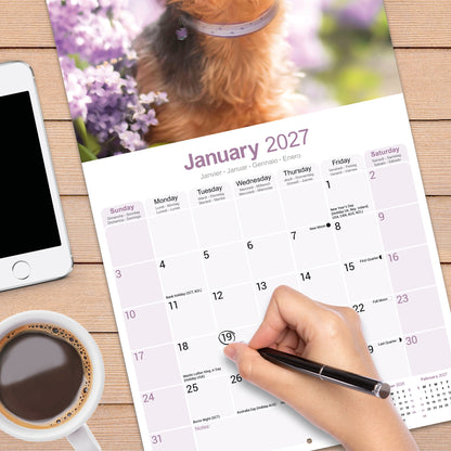Yorkshire Terrier Wall Calendar 2027