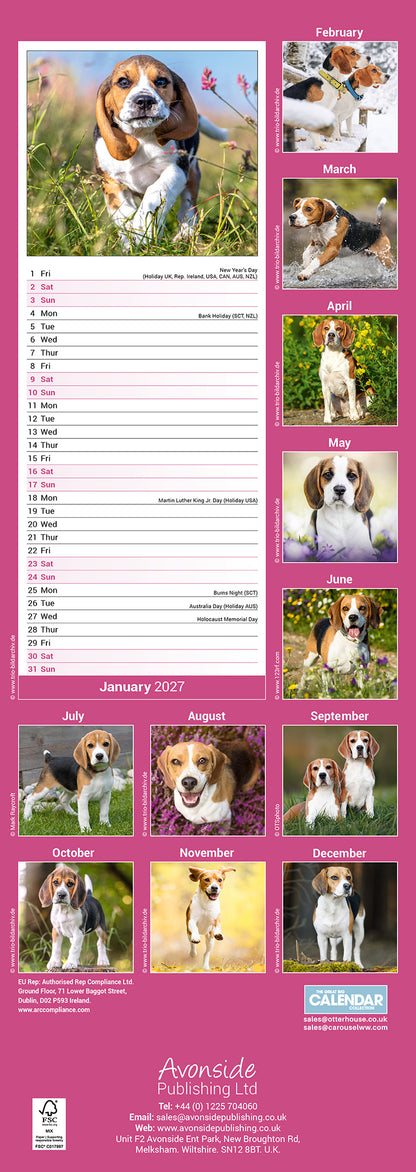 Beagle Slim Calendar 2027