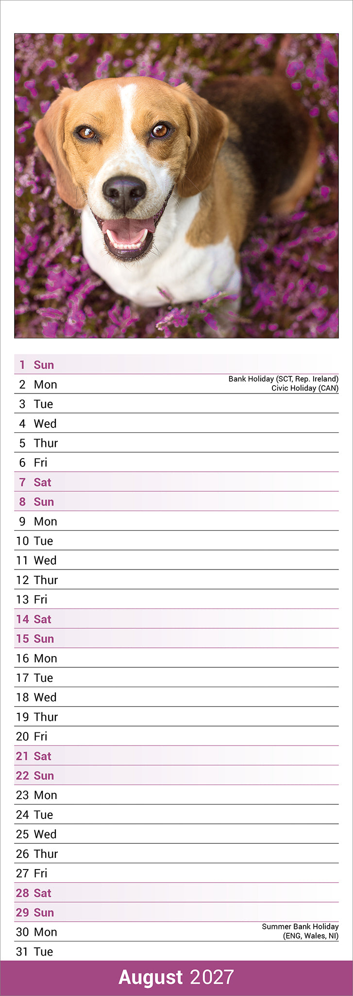 Beagle Slim Calendar 2027