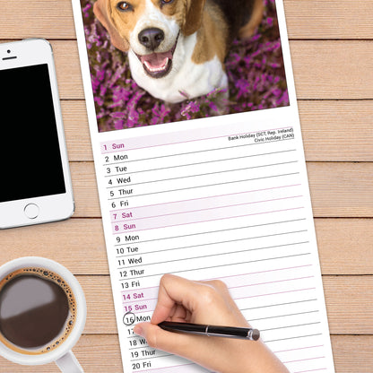 Beagle Slim Calendar 2027