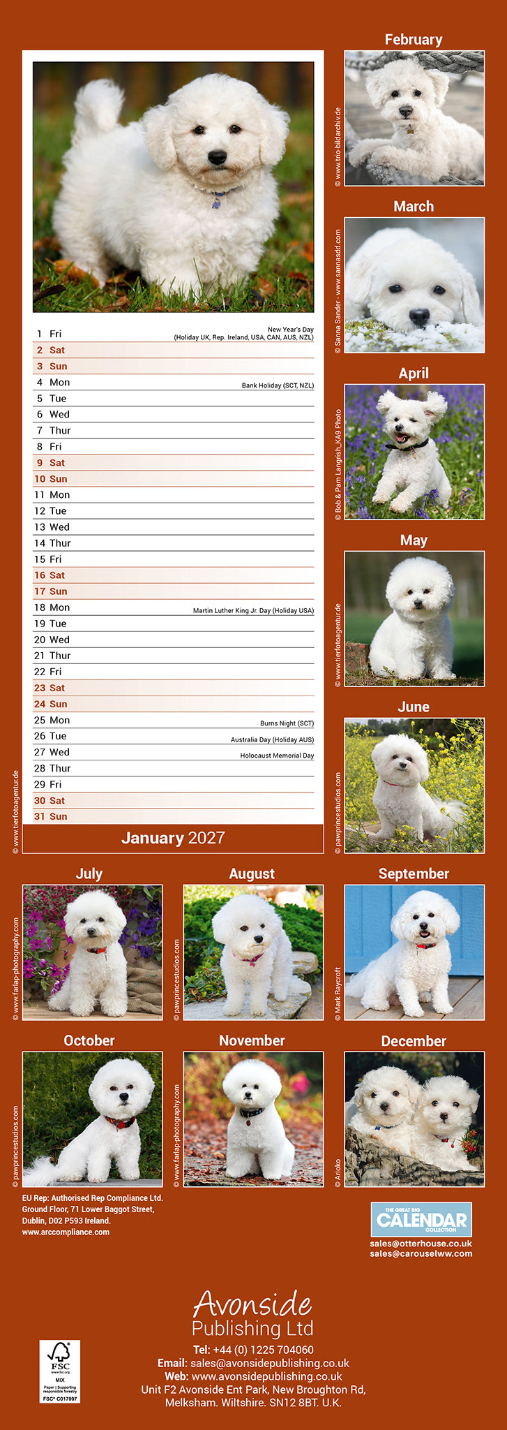 Bichon Frise Slim Calendar 2027