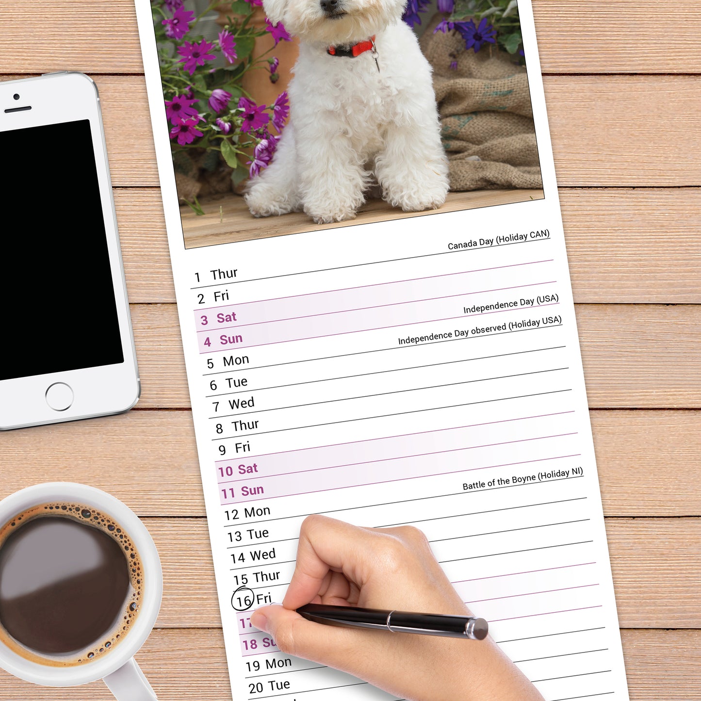 Bichon Frise Slim Calendar 2027