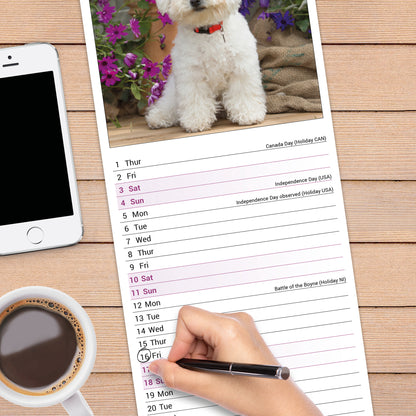 Bichon Frise Slim Calendar 2027