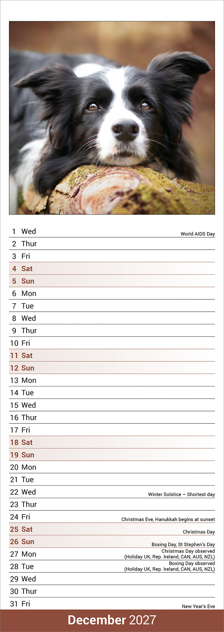 Border Collie Slim Calendar 2027