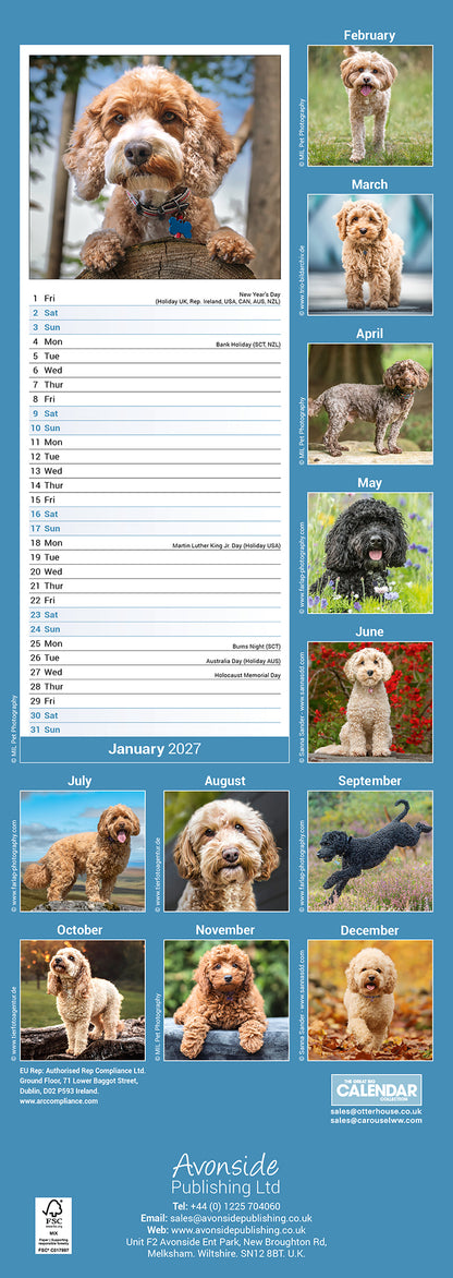 Cockapoo Slim Calendar 2027