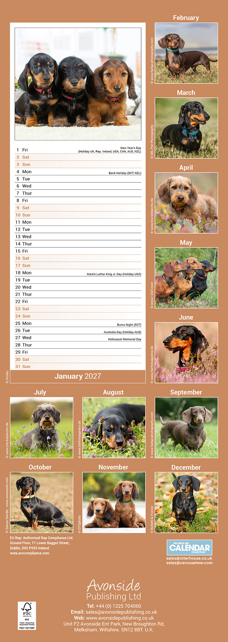 Dachshunds Slim Calendar 2027