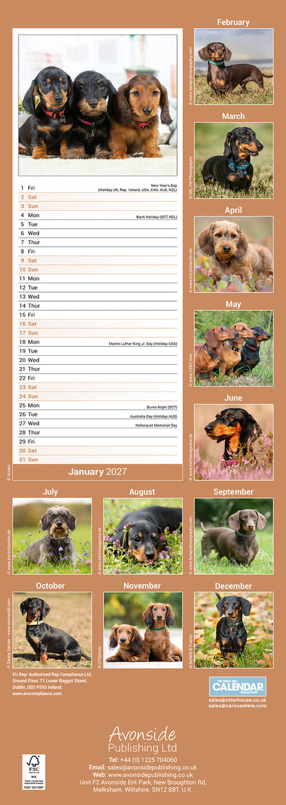 Dachshunds Slim Calendar 2027
