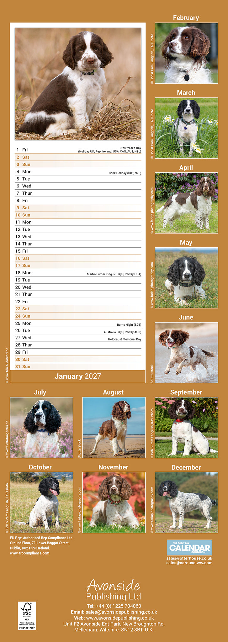 English Springer Spaniel Slim Calendar 2027