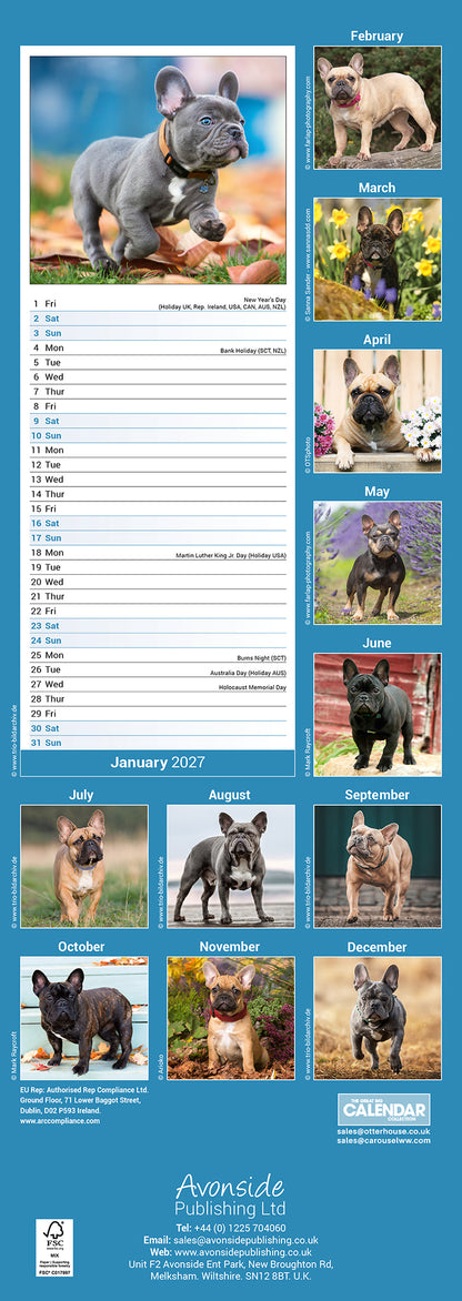French Bulldog Slim Calendar 2027