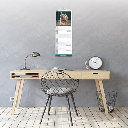 French Bulldog Slim Calendar 2027