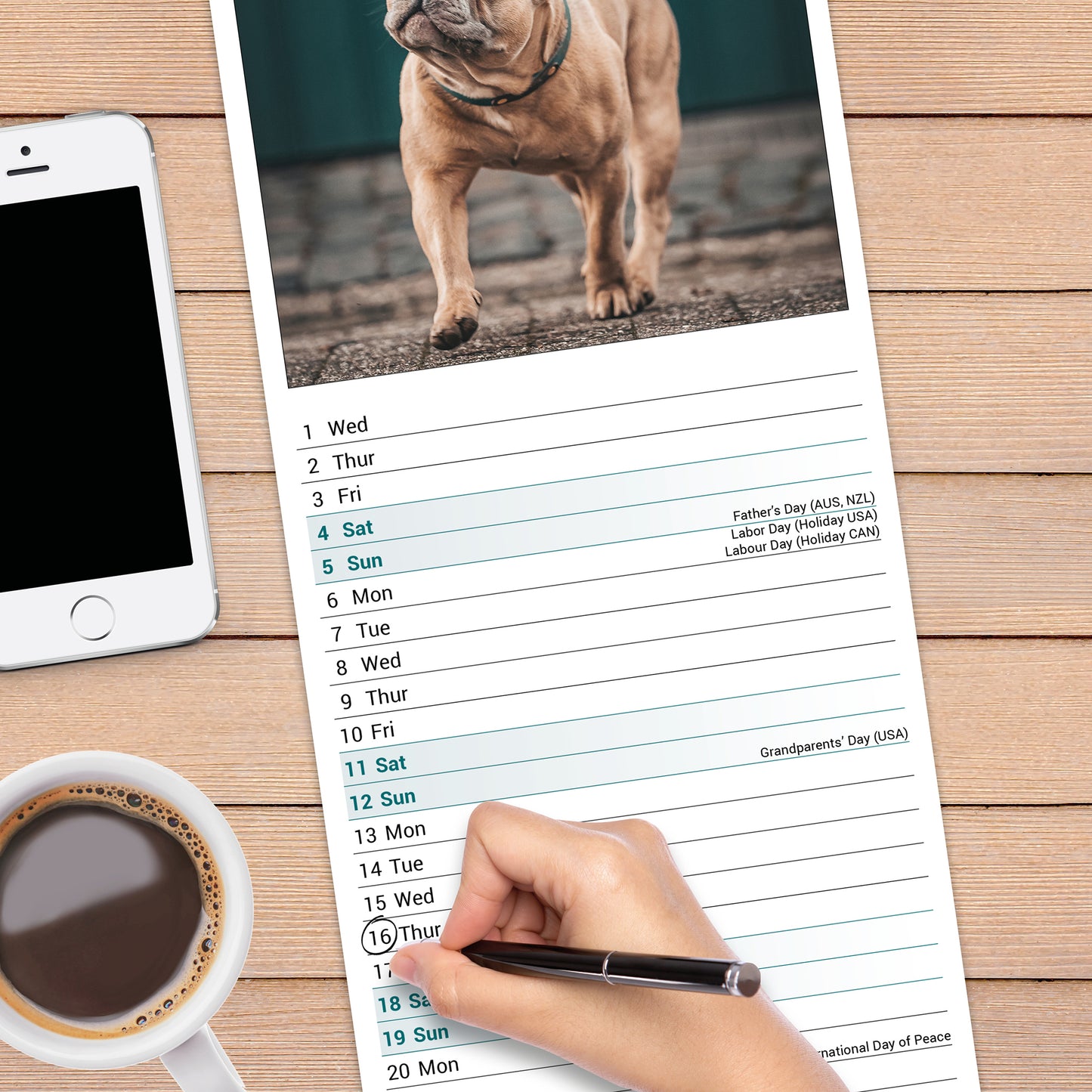 French Bulldog Slim Calendar 2027